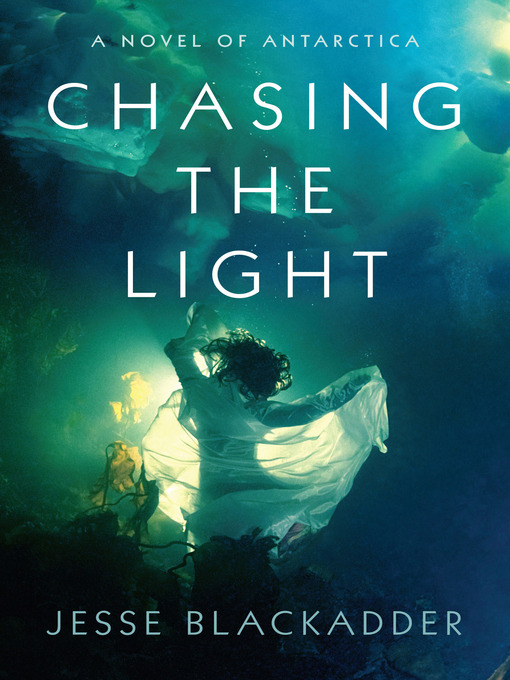 Cover image for Chasing the Light